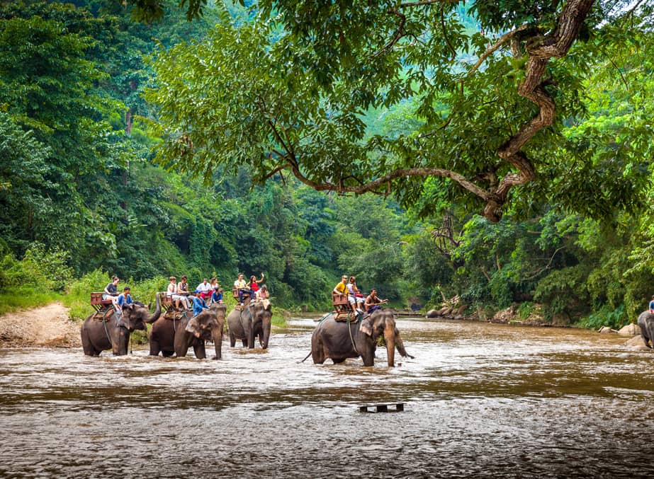Tourists elephant trekking is amongst things to do in Chiang Mai 