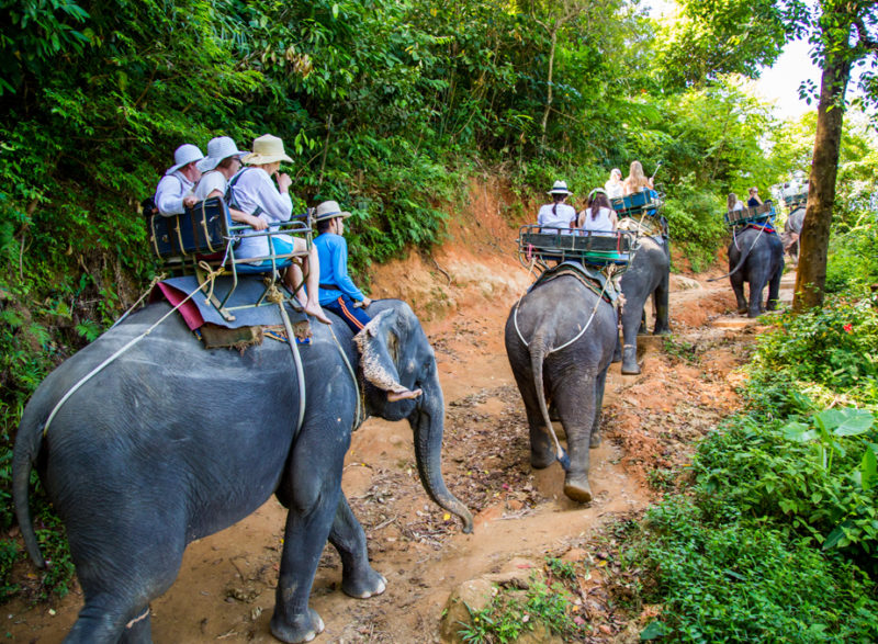 Thailand in January : Weather, Things to do, Places to Visit