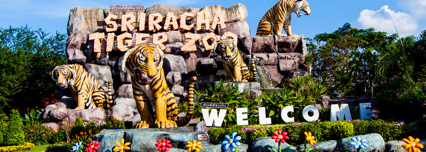 Sriracha Tiger Zoo in Pattaya - Thailand Tourism