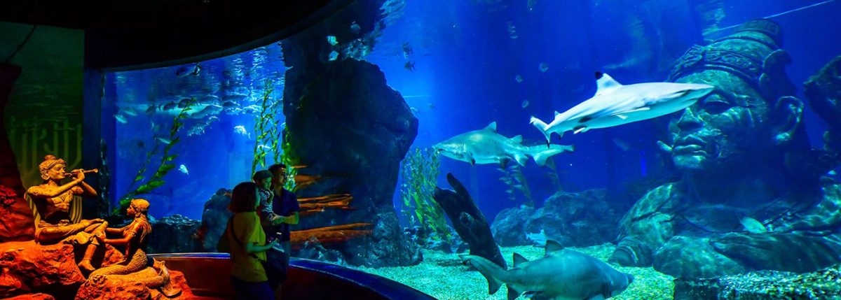 Siam Ocean World in Bangkok - Thailand Tourism