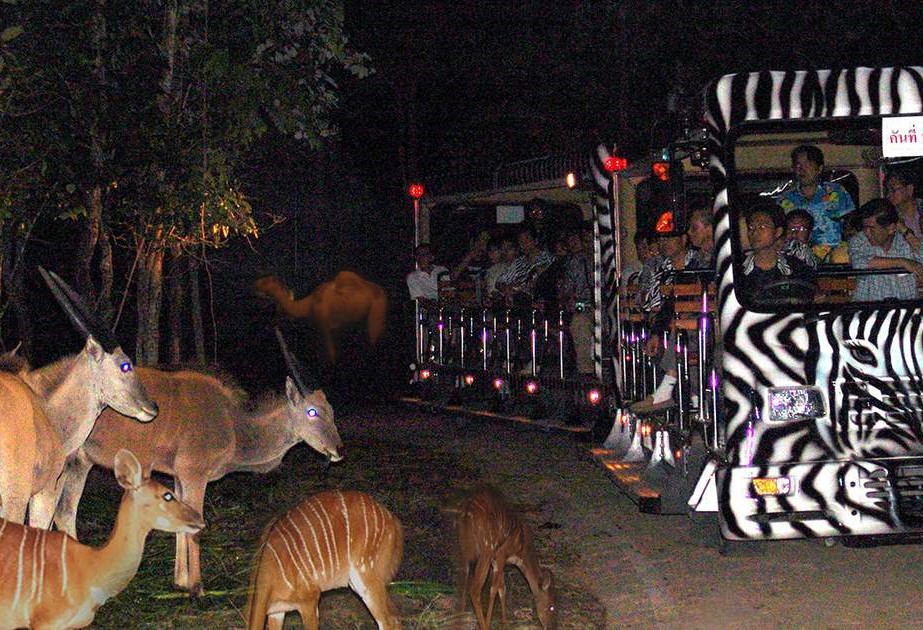Chiang Mai Night Safari Tour With Shared Transfer is popular family activity