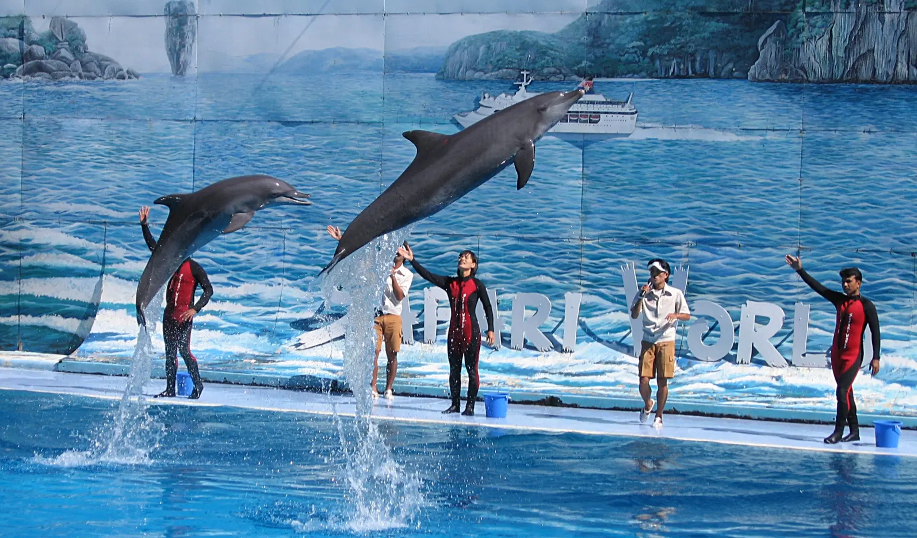 A Dolphin Show is quite popular activity in Safari World, Bangkok